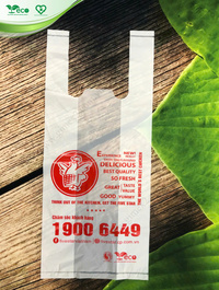 Túi 2 quai siêu thị