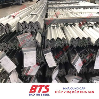 Thép hình V mạ kẽm Hoa Sen