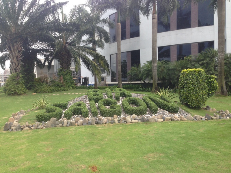 Chăm sóc bảo dưỡng cây xanh