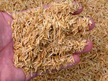 Vỏ trấu