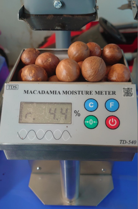 Máy đo độ ẩm hạt mắc ca TD540