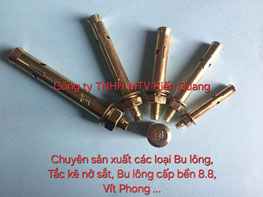 Buloong tắc kê nở ống lổ