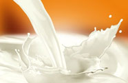 Enzymes sản xuất sữa