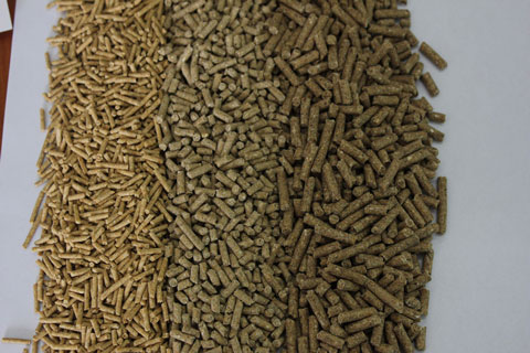 Mầu thức ăn chăn nuôi Dynemic