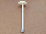 Mushroom head