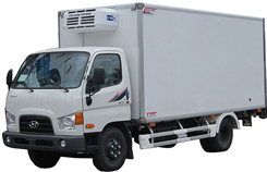 Dịch vụ vận chuyển bằng xe đông lạnh