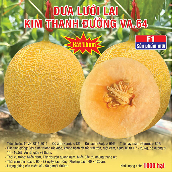 Hạt giống dưa lưới lai kim thanh đường VA.64