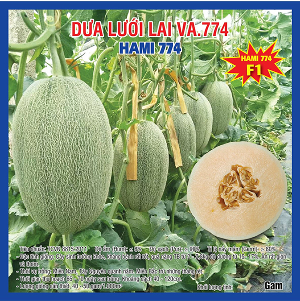 Hạt giống dưa lưới lai VA.774