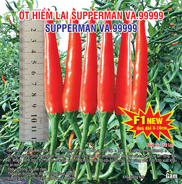 Hạt giống ớt hiểm lai Supperman VA.99999