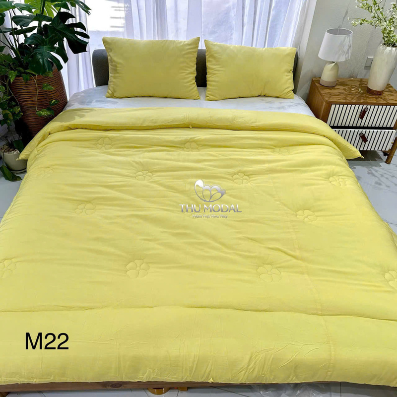 Chăn ga gối đệm