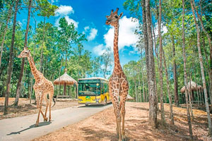 Tour du lịch Phú Quốc