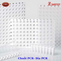 Chuỗi PCR - Đĩa PCR