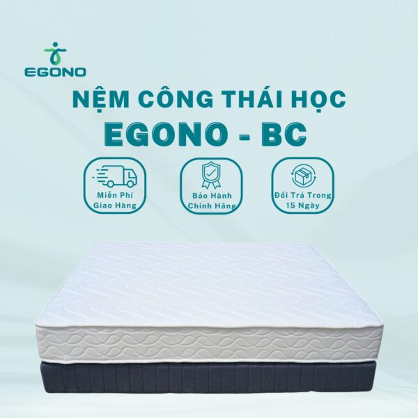 Nệm công thái học EGONO- BC 24cm