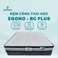 Nệm công thái học EGONO- BC Plus
