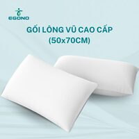 Ruột gối lông vũ Microfiber kháng khuẩn