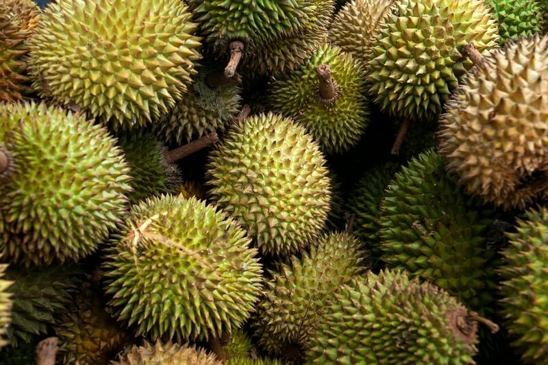 Sầu riêng