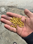 Hạt nhựa HDPE