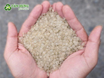 Hạt nhựa LDPE