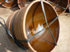 Chén hứng mủ