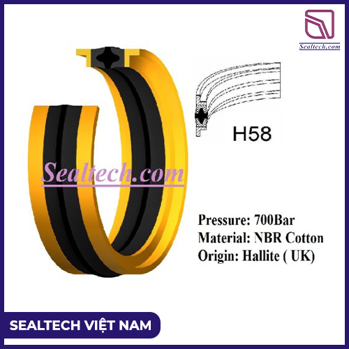 Phớt Piston H58