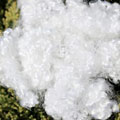 Xơ polyester 7D hsc