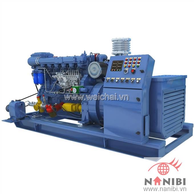 Máy phát điện thủy CCFJ250J-W