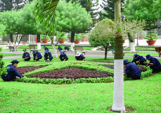 Dịch vụ chăm sóc và bảo dưỡng cây xanh