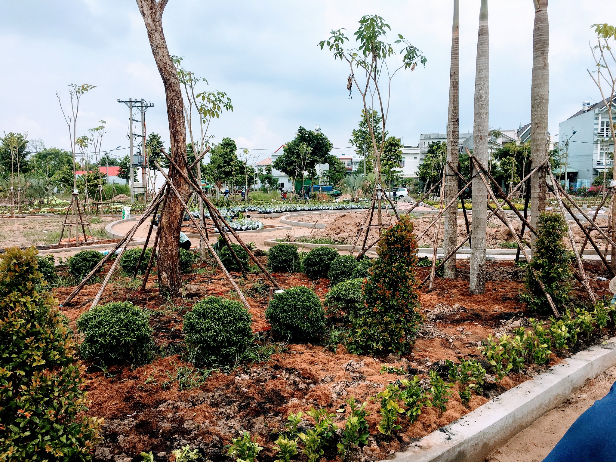 Dịch vụ chăm sóc và bảo dưỡng cây xanh