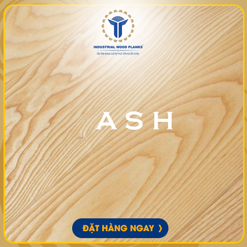 Ván gỗ Ash Veneer