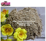 Cát thạch anh lọc nước