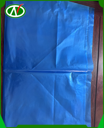 Túi PE xanh dương