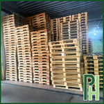 Pallet gỗ keo