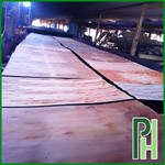 Ván lạng bạch đàn