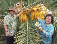 Phân bón hữu cơ Thái Lan