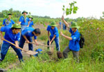 Dịch vụ trồng cây xanh