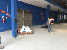 Dịch vụ diệt mối