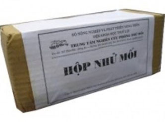 Thuốc diệt mối