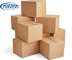 Thùng Carton
