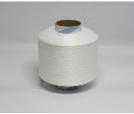 Sợi nylon 300/3