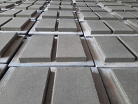 Gạch Block ép sần gạch trồng cỏ