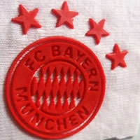 Logo Bayern