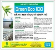 Green Eco 100
