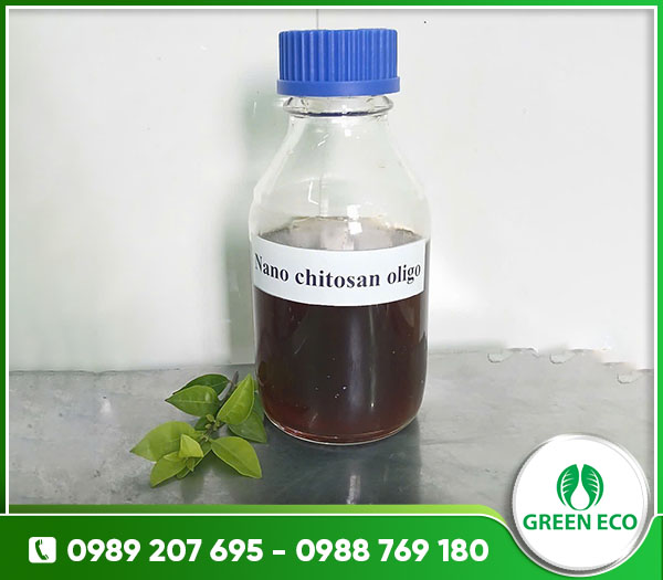 Nano Chitosan Oligo