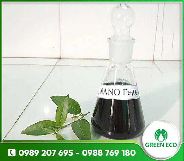 Nano Fe3O4 (Nanozyme)