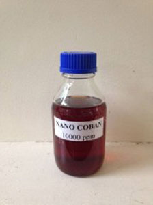 Nano Cobalt Co