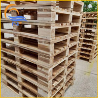 Hình ảnh kho hàng công ty Thiên Nam Phú