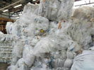 Nhựa phế liệu LDPE