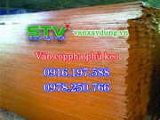 Ván ép coppha cột