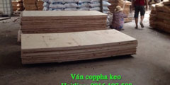Ván ép coppha phủ keo