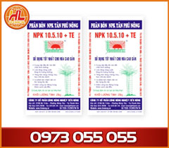 Bao PP dệt